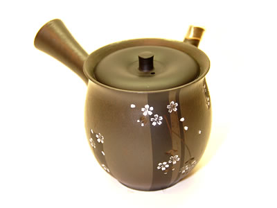 seiho tokoname